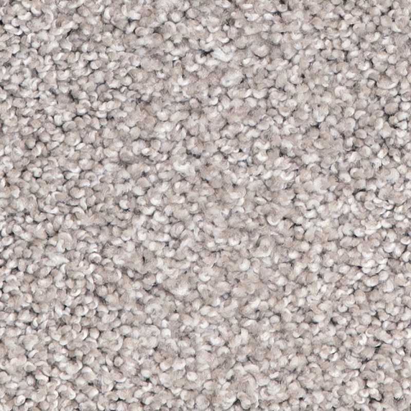 Southern Ridge Koala