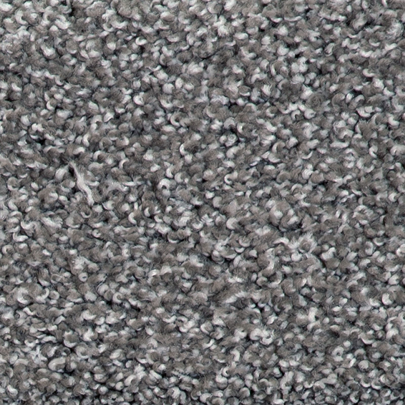 Southern Ridge Tree Trunk