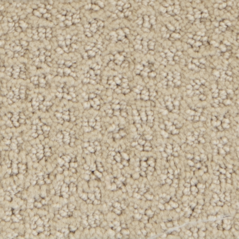 Dasher Heights Dunes