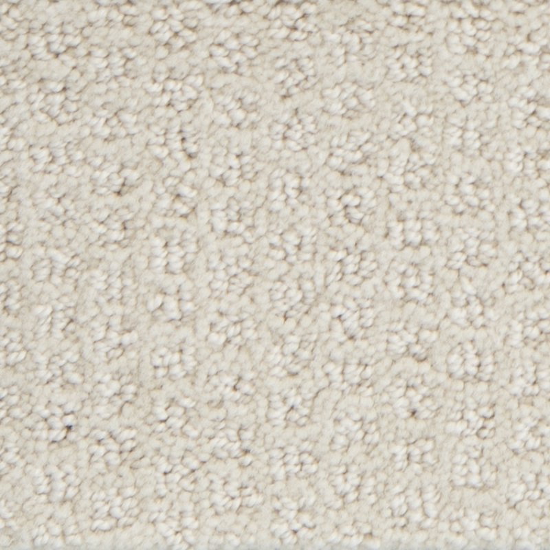 Dasher Heights Canvas