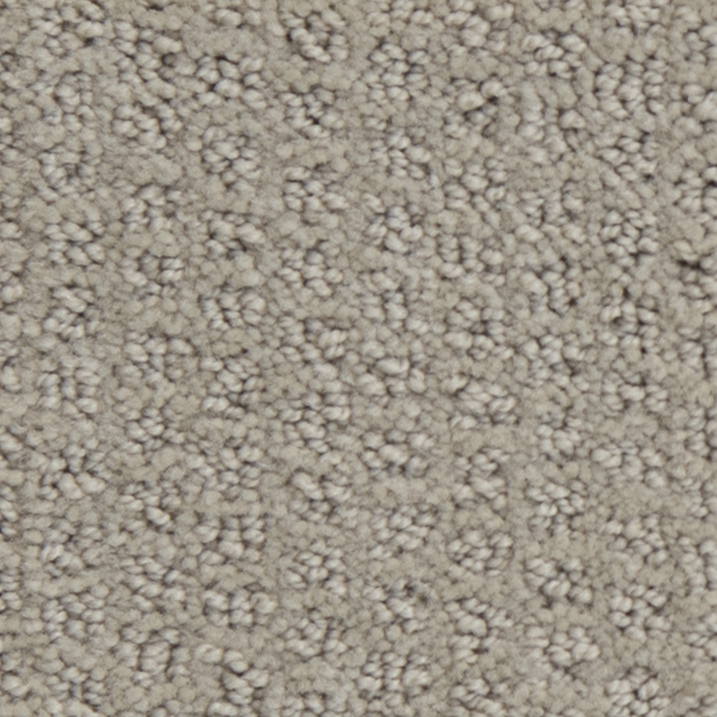 Dasher Heights Silver Leaf