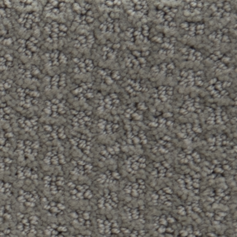 Dasher Heights Titanium