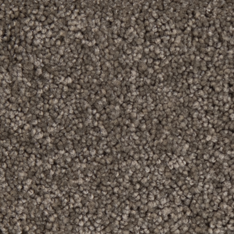 Olympic I (S) Rustic Taupe