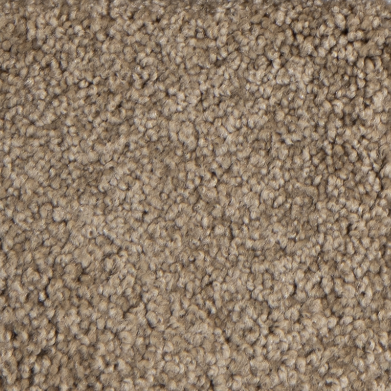 Carpet-G5-Shaw-Olympic-II-S-00700-Acorn