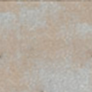 Tan/Gray