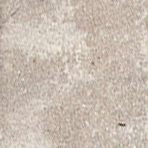Tan/Sandstone